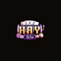 haywinvipjpnet